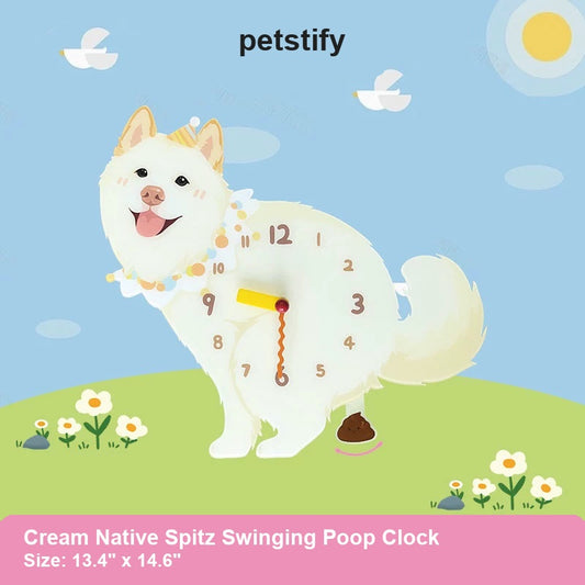 Cream Native Spitz illustration on a Petstify wall clock with a swinging pendulum below