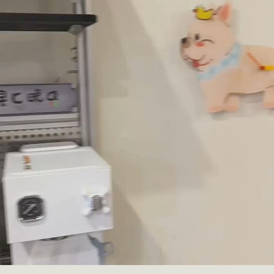 Petstify French Bulldog wall clock clean product video
