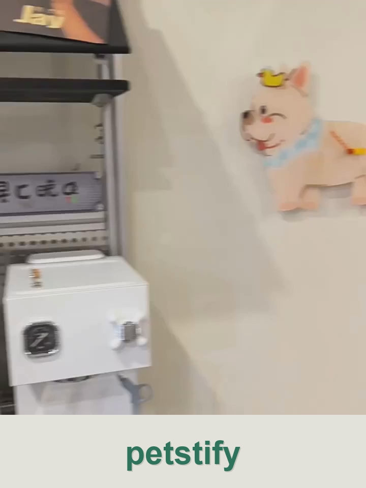 Petstify French Bulldog wall clock clean product video
